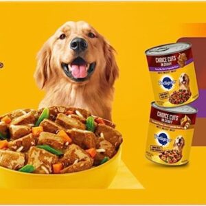 PEDIGREE Choice Cuts in Gravy – Delicious Nutrition for Adult Dogs